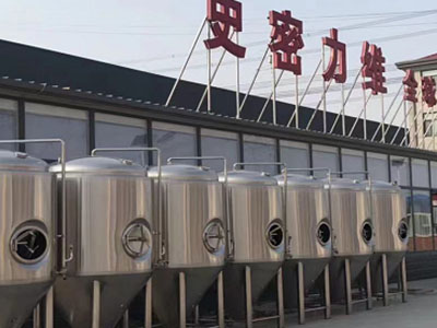 普定精酿啤酒设备厂—市场规模与跨界新需求